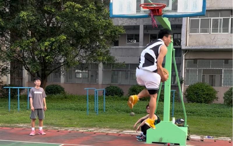 公司必须