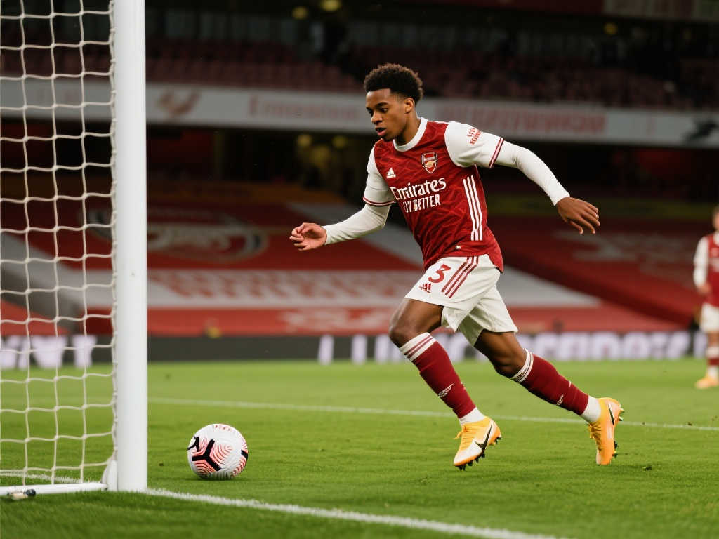 的高性價比 的高性價比