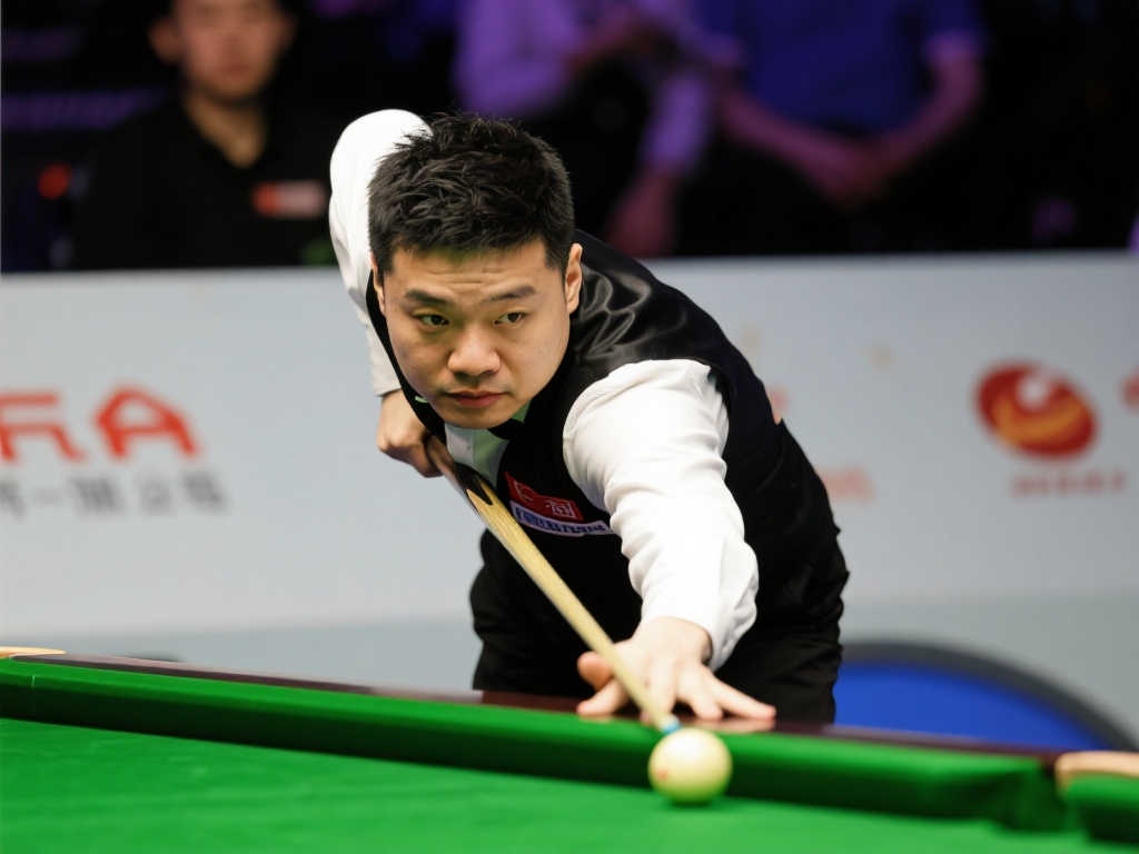 并不能掩盖 并不能掩盖